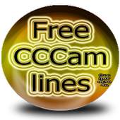 CCCam 48H 9.8
