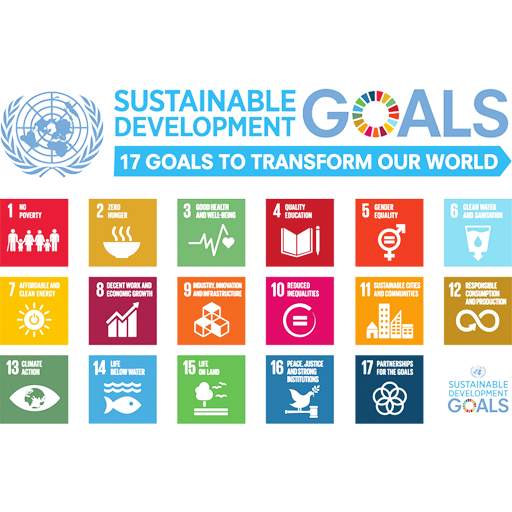 Sustainable Development Goals 51