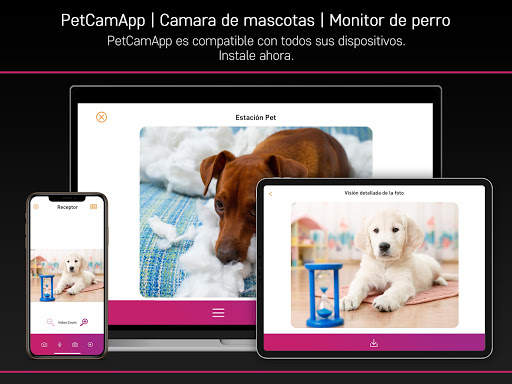 PetCam App - Monitor de Perro screenshot 6