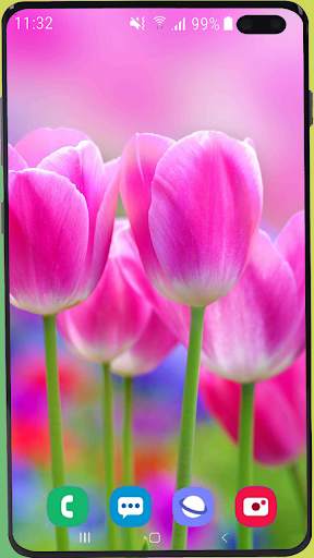 Flowers Wallpaper Best HD screenshot 13