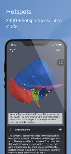 Head Atlas screenshot 2