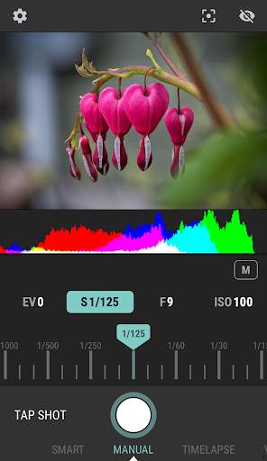 Arsenal - The Intelligent Camera Assistant screenshot 2