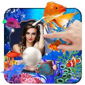 Fishes in water And Ocean 4.5