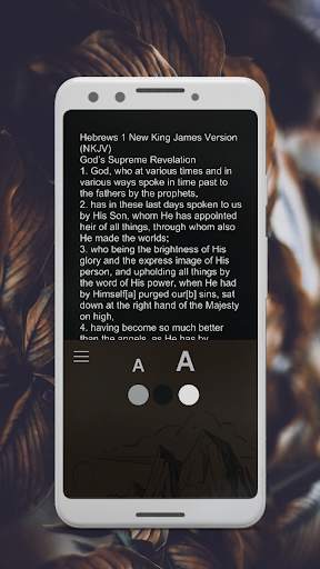 NKJV Bible Free Download screenshot 7
