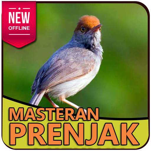 Suara Burung Prenjak Masteran dan Pancingan 2.0