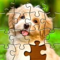 Teka-Teki Gamber: Puzzles Game