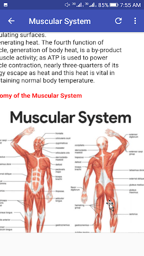 Human Anatomy & Physiology screenshot 3