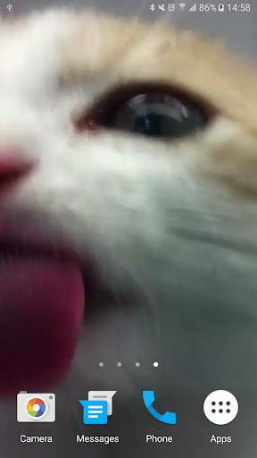 Cat Lick Screen Live Wallpaper screenshot 6