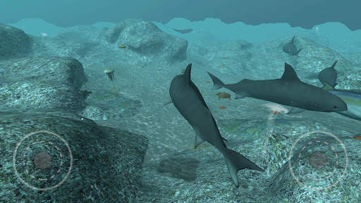Real Shark Simulator 3D screenshot 5