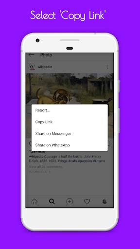 InSaver for Instagram screenshot 5
