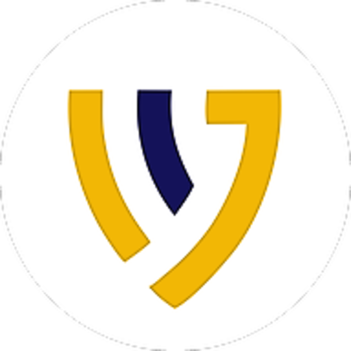 Hero VPN icon