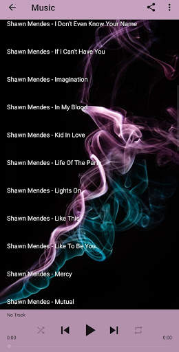 Shawn Mendes Music and Lyrics screenshot 2