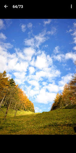 NIKON IMAGE SPACE screenshot 5