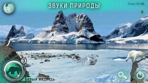 Поиск Предметов : Фото Охота. Кругосветное Сафари! скриншот 2