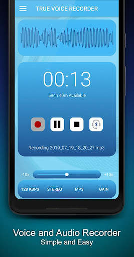True Voice Recorder screenshot 1