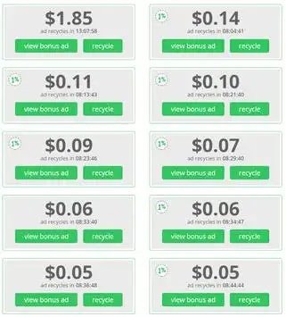 PaidVerts screenshot 3