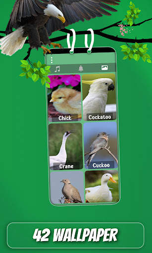 Bird Sound And Ringtones screenshot 4