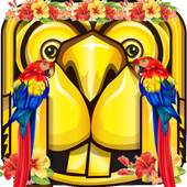 Flower Temple Run 1.06.02
