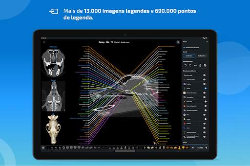 vet-Anatomy screenshot 10