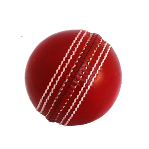 ikon Cricket Simulator