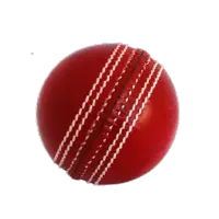 Cricket Simulator