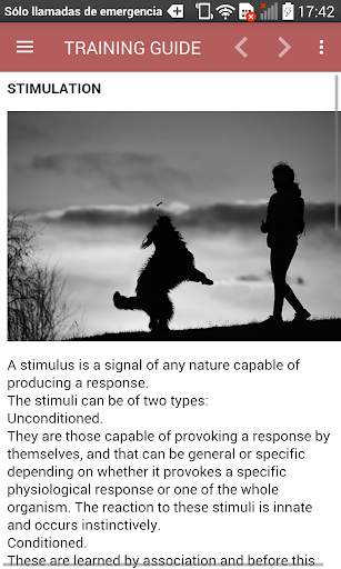 Dog Training Guide Offline screenshot 8