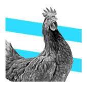 Chicken Game 1.0