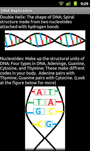 DNA Replication screenshot 5