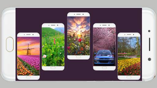 Spring Wallpaper HD screenshot 2