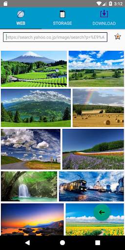 Web Photo Downloader screenshot 1