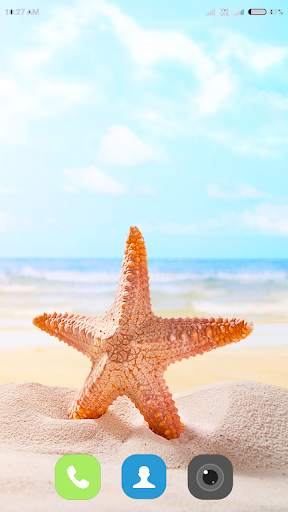 Starfish Wallpaper 4K screenshot 11