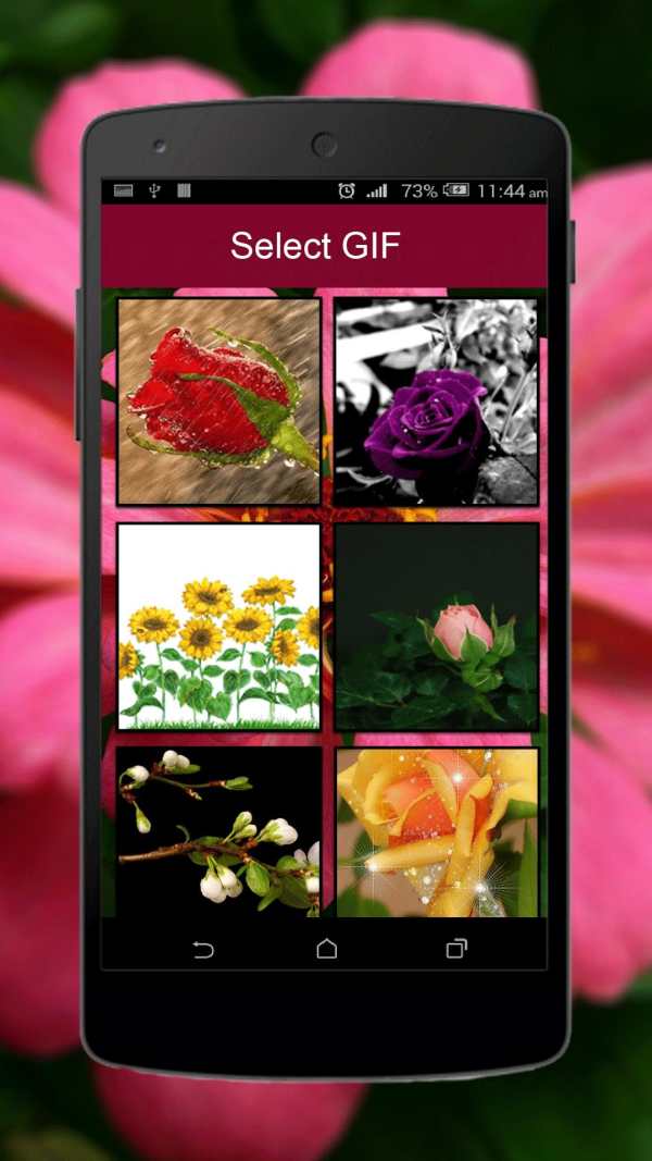 Flower GIF screenshot 3