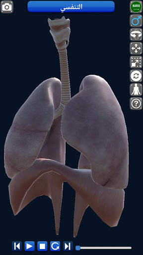 Anatomy 3D screenshot 11