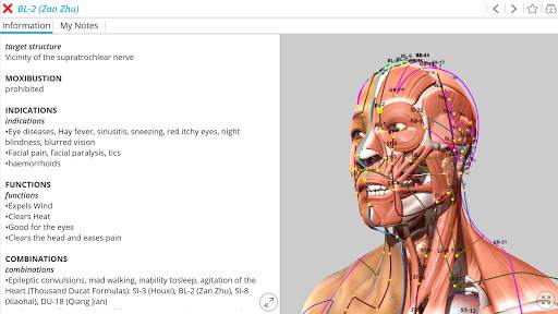 Visual Acupuncture 3D स्क्रीनशॉट 1