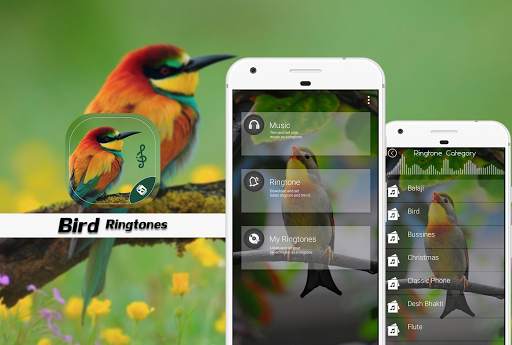 Latest Bird Ringtones 2021 screenshot 1