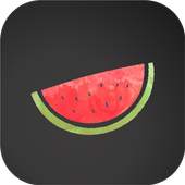 VPN Melon 1.5.527