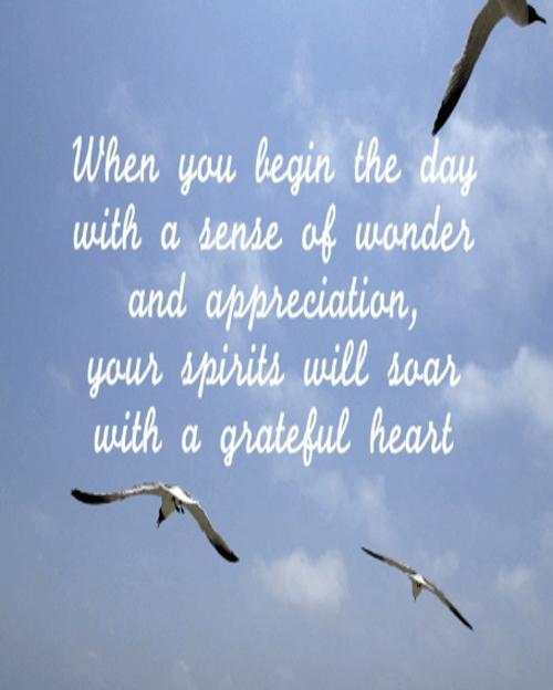 Thankful Quotes screenshot 1