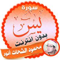surah yasin full mahmood shahat Offline logo