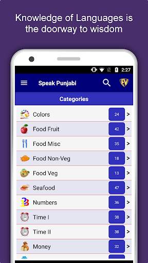 Speak Punjabi : Learn Punjabi Language Offline screenshot 1