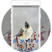 Snow beautiful bird theme 1.0.2