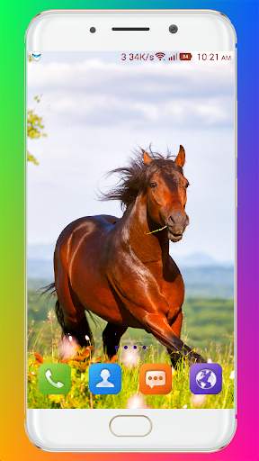 Horse Wallpaper HD screenshot 6