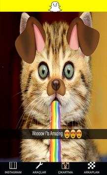 Camera snappy Cats screenshot 4