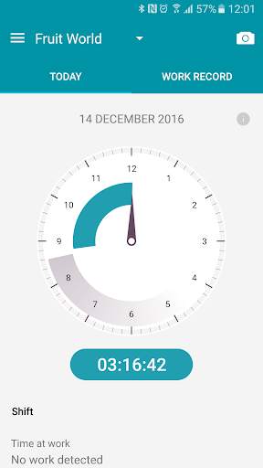 Record My Hours screenshot 1
