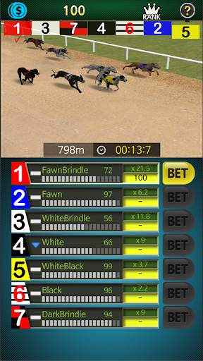 Pick Dog Racing screenshot 4