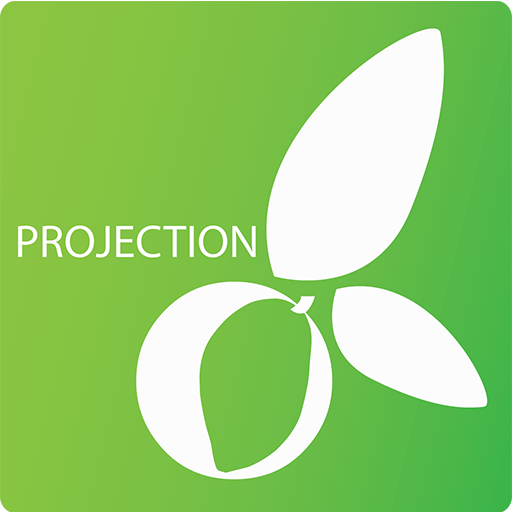 Projection icon