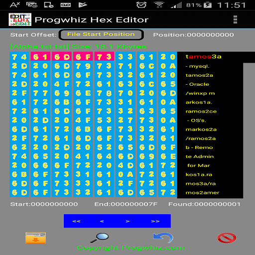 ikon Progwhiz Hex Editor