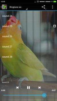 Chirp Bird Ringtone screenshot 2