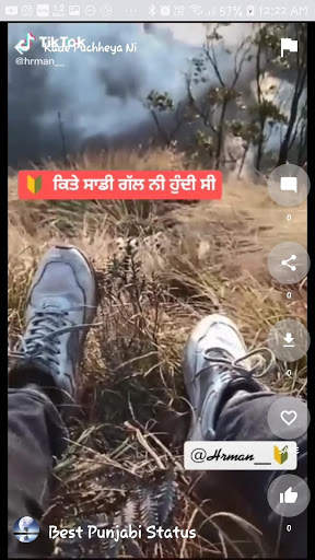 VIP Punjabi Videos Status App All In One screenshot 3