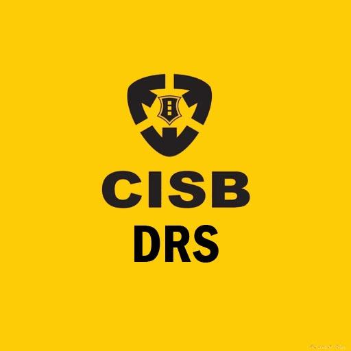 DRS icon