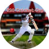T20 Cricket Cup 4.9